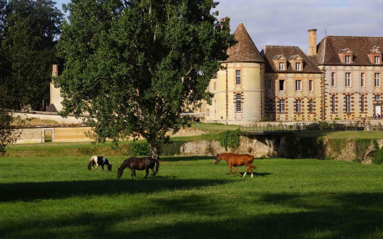 Chateau De La Riviere Bed & Breakfast Pontgouin Exterior photo